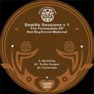 Not Boyfriend Material - Seattle Sessions V1 - The Flammable EP