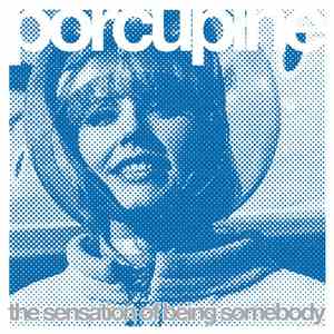 Porcupine - The Sensation Of Being Somebody