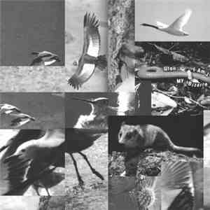 Uton / I Am Just A Pupil / My Bizarre Bayuk - Split