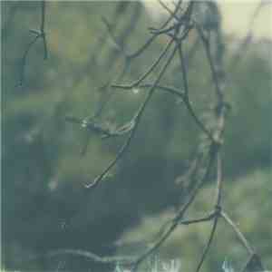 Benoit Pioulard - Lignin Poise
