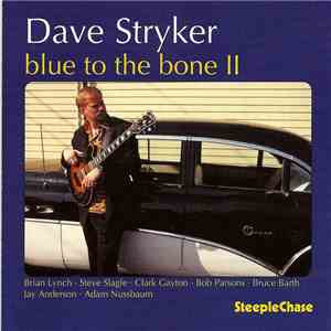 Dave Stryker - Blue To The Bone II