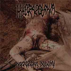 Hysteraectomia - Necrogore Sodomy