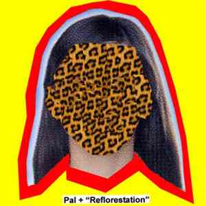 Pal+ - Reflorestation