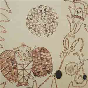 Devendra Banhart - Rejoicing In The Hands / Niño Rojo