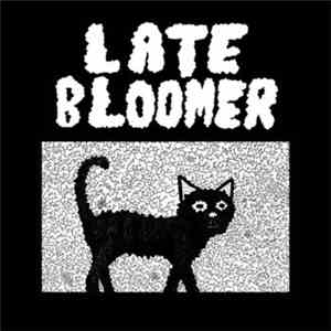 Late Bloomer  - Late Bloomer