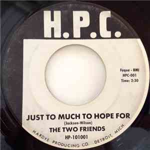 The Two Friends - Just To Much To Hope For / Family Reunion