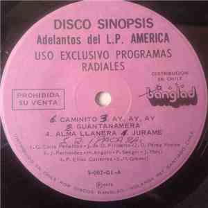 Various - Disco Sinopsis
