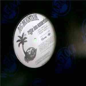 Big Mountain - Reggae Inna Summertime / Touch My Light