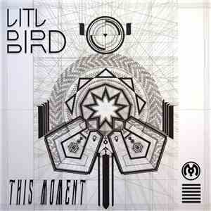 LITLBIRD - This Moment
