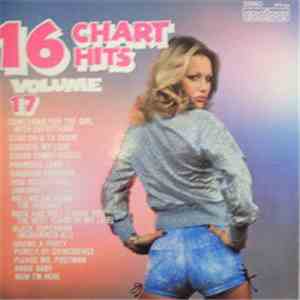 Unknown Artist - 16 Chart Hits Volume 17