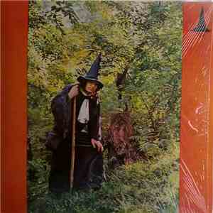 Gandalf The Grey - The Grey Wizard Am I