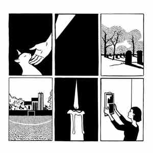 Paws  - No Grace