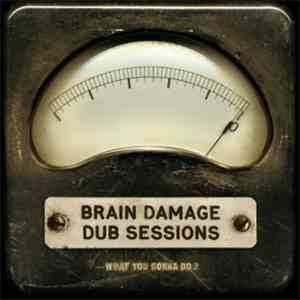 Brain Damage - What You Gonna Do ?