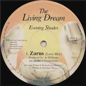 Evening Shades - Zarus / The Groove Desired