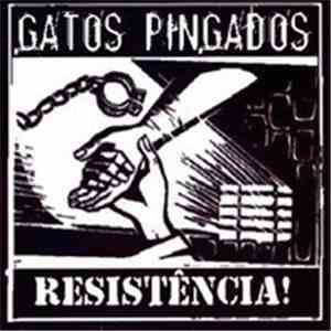 Gatos Pingados - Resistência
