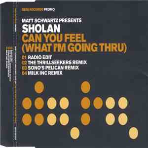 Matt Schwartz Presents Sholan - Can You Feel (What I'm Going Thru)