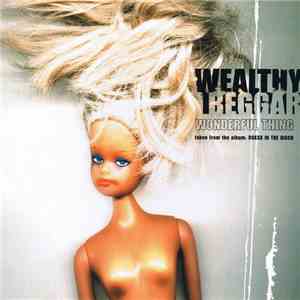Wealthy Beggar - Wonderful Thing
