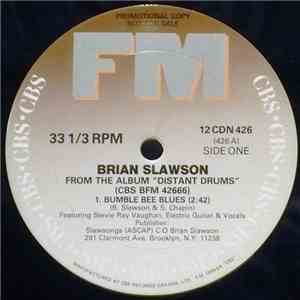 Brian Slawson - Bumble Bee Blues