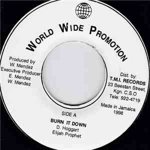 Elijah Prophet - Burn It Down