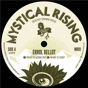 Errol Bellot, Prince Terralox - What Is Going On / Terror