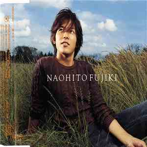 Naohito Fujiki - パズル