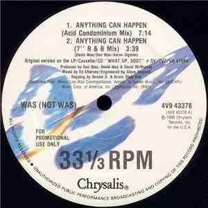Was (Not Was) - Anything Can Happen
