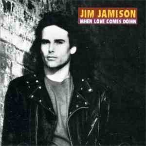 Jim Jamison - When Love Comes Down