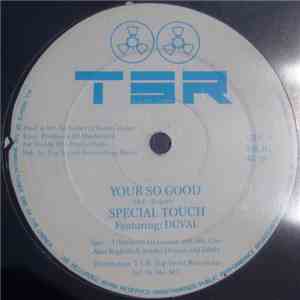 Special Touch  Featuring Duval / Gold In The Shade - Your So Good / Shining Through