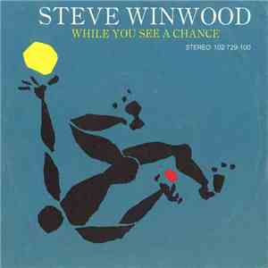 Steve Winwood - While You See A Chance