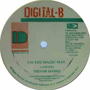 Trevor Sparks - I'm You Magic Man
