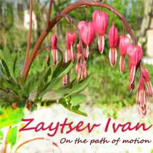 Zaytsev Ivan - On The Path Of Motion