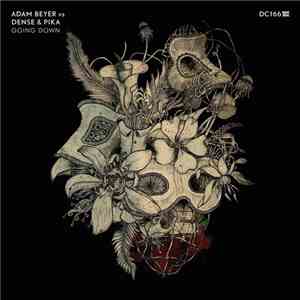 Adam Beyer Vs Dense & Pika - Going Down