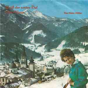 Alpenklang-Duo Johann Perwein-Rudi Celjar Und Die Grazer Idealisten - Grüß Das Schöne Tal... / Ave Maria ...