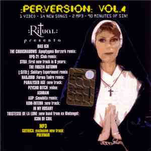 Various - :Per:Version: Vol. 4