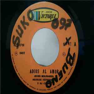 Hernan Hernandez Y Su Combo - Adios Al Amor / Triste Despedida