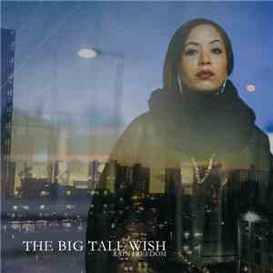 Rain Freedom - The Big Tall Wish