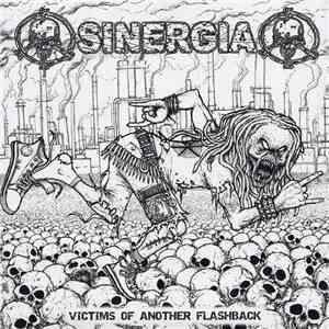 Sinergia - Victims Of Another Flashback