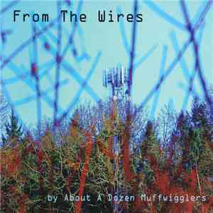 Various - From The Wires by About A Dozen Muffwigglers
