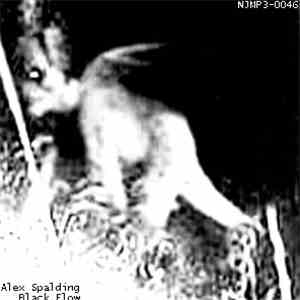 Alex Spalding - Black Flow