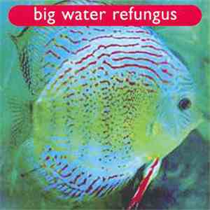 Big Water Refungus - Demo 2