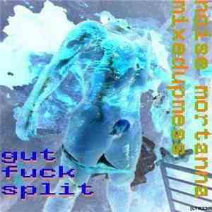 Noise Mortanna / Mixedupmess - Gut Fuck Split