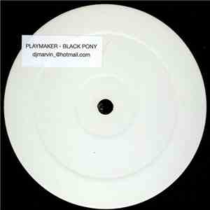 Playmaker - Black Pony
