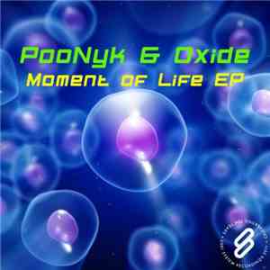 Poonyk & Oxide - Moment Of Life EP