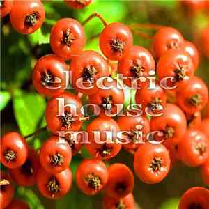 Various - Electric House Music