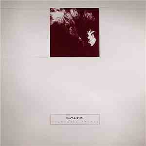 Calyx - Techtonic / Recall