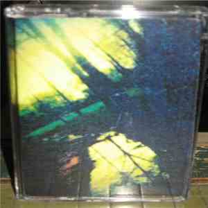 Filth  / Developer  - Filth / Developer