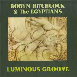 Robyn Hitchcock & The Egyptians - Luminous Groove