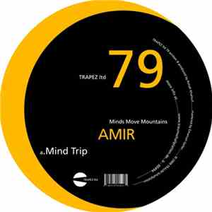 Amir  - Minds Move Mountains