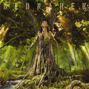 Bednarek - Oddycham
