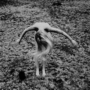 Black Egg  - Legacy From A Cold World